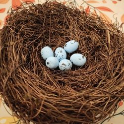 6" Rattan Birds Nest With 6 Foam Blue Eggs 