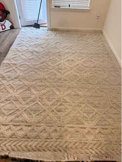 Lorden 8x10 Beige Area Rug - Clean, Pet-Free, Great Condition
