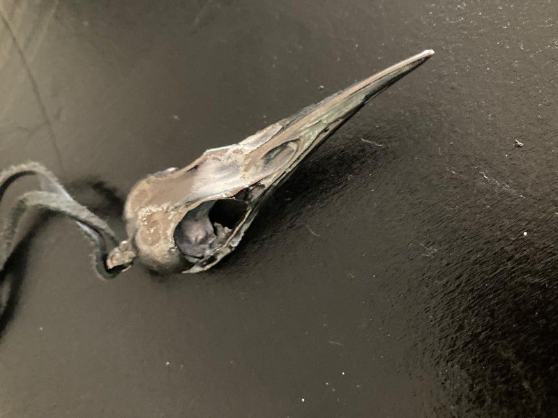 Raven Skull Pendant Made In Brazil