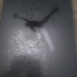 Black cat jordan 4 DS size 12