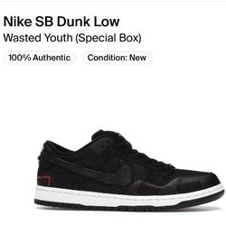 Nike SB Dunk Low Wasted Youth Size 8.5