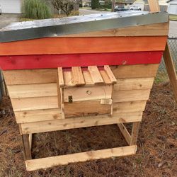 Modern Chicken Coop 