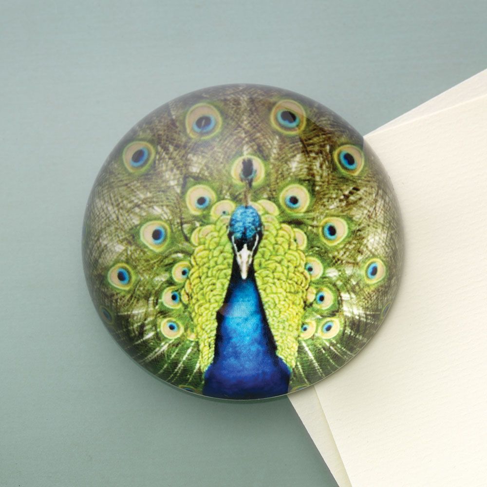 Peacock Paper weight