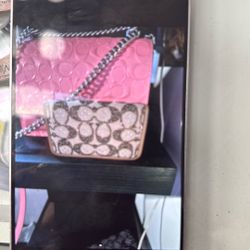 Coach Crystal Wallet