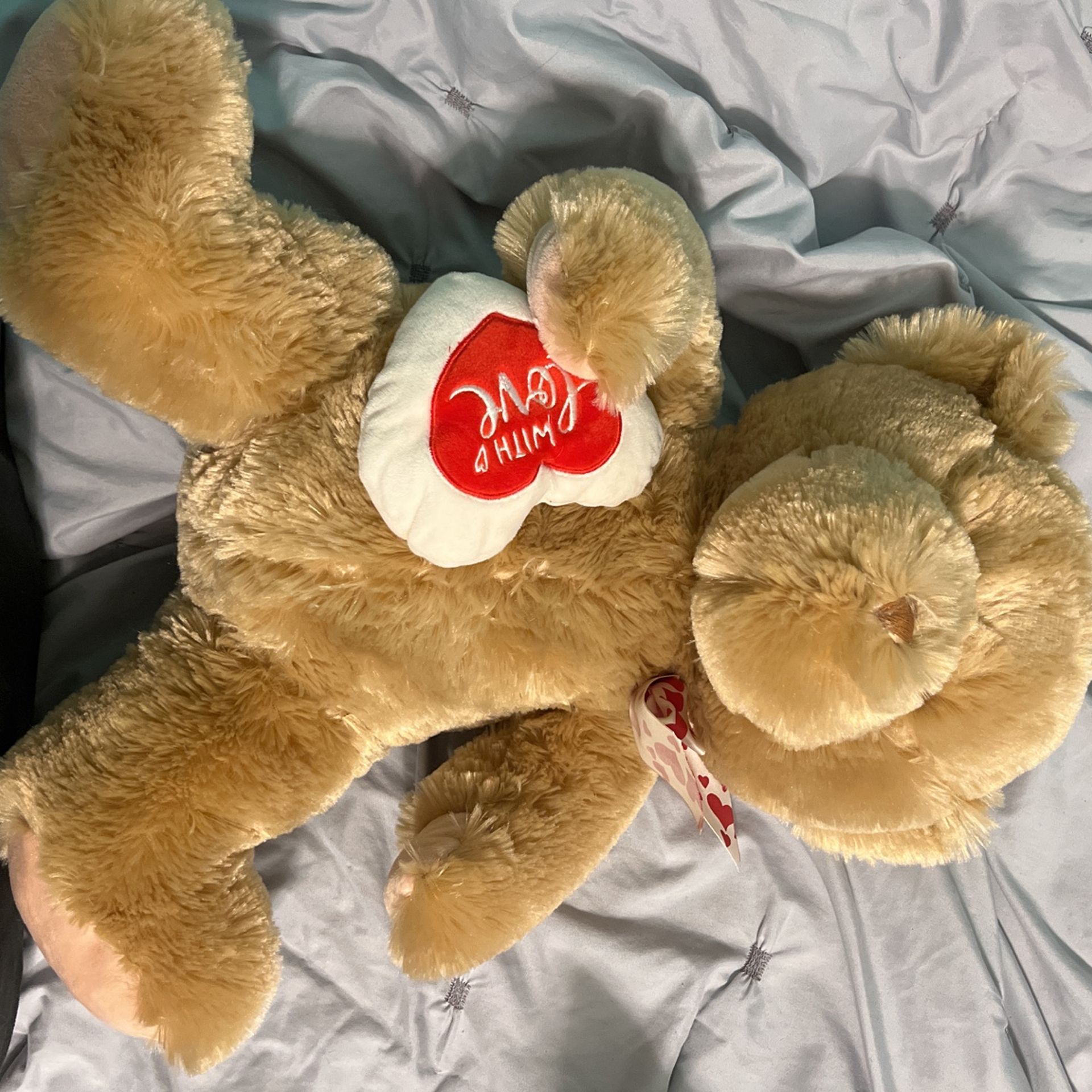 Valentines Day Teddy Bear