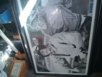 Framed pics