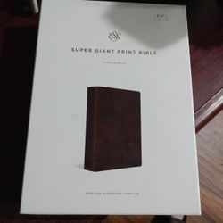Super Giant Print Bible