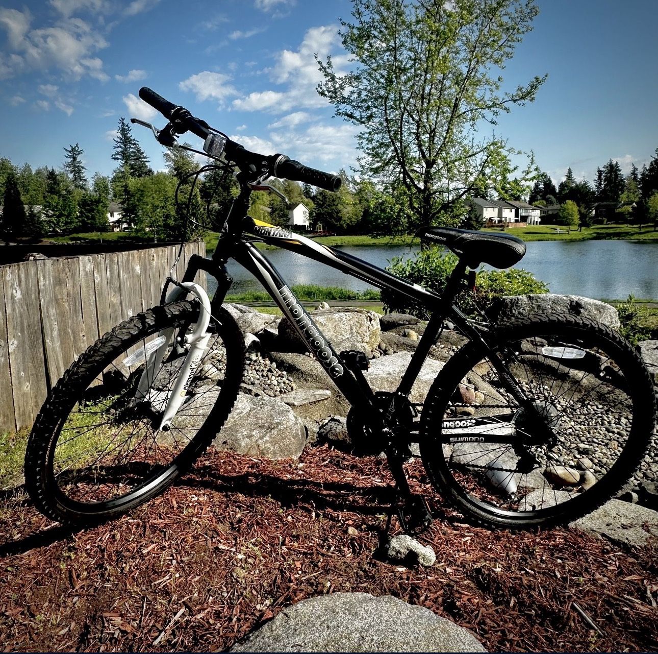 Mongoose Mountain Bike Lightweight Competition Series 