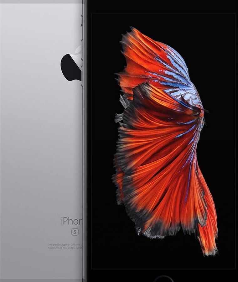 Apple iPhone 6s Plus | Unlocked