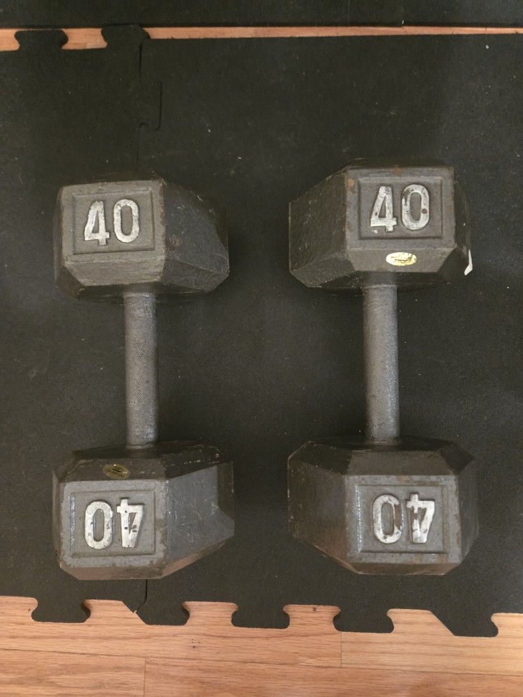 40lb Metal Hex Dumbbells
