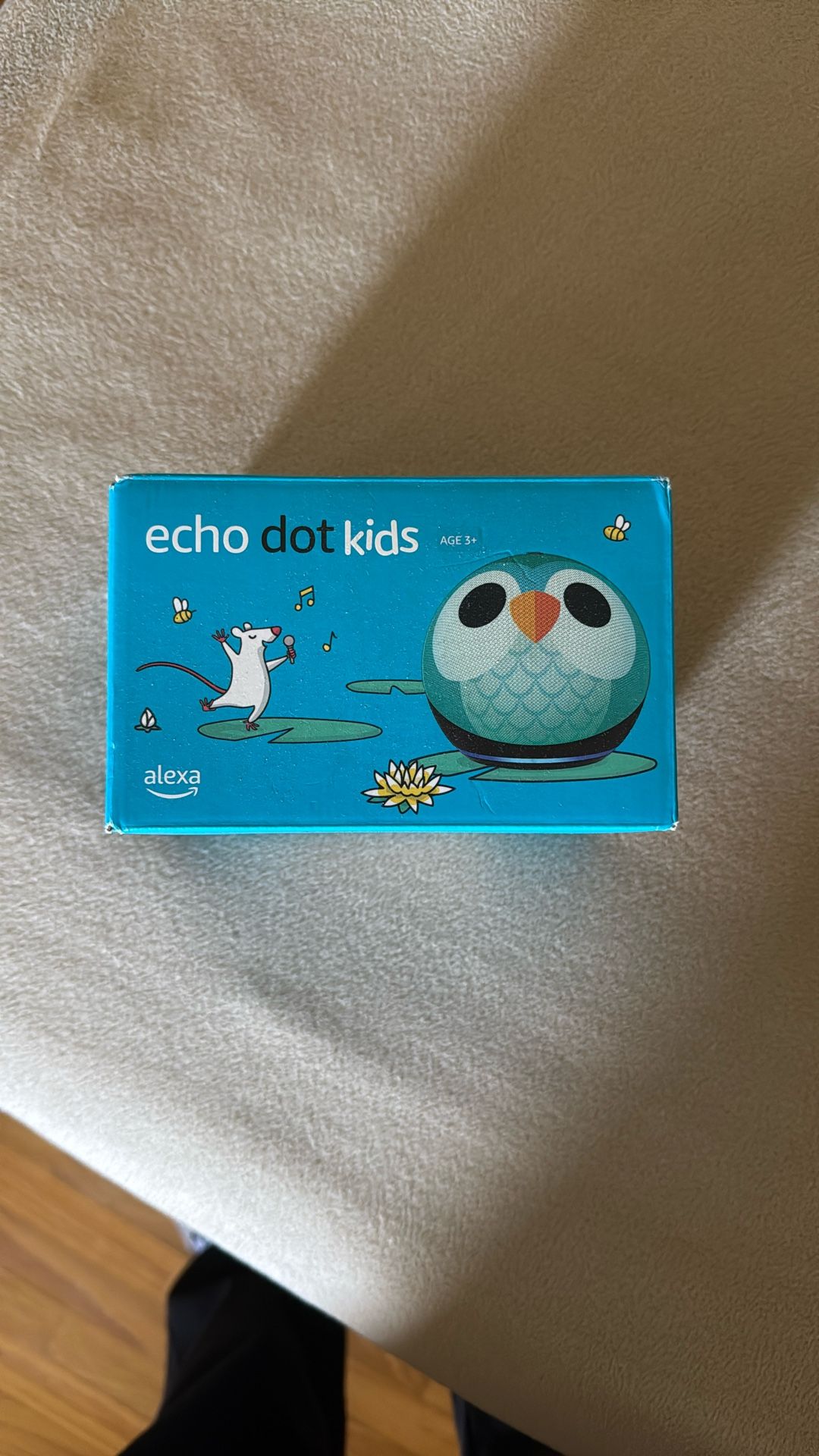 Amazon Echo dot kids--New