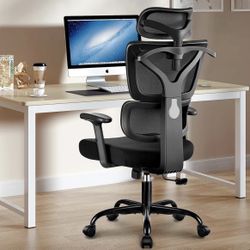 Winrise Office Chair Ergonomic Desk Chair