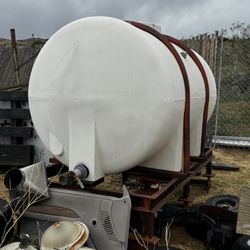 Water Buffalo On Heavy Duty Stand 