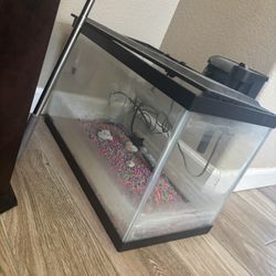 Fish Tank 
