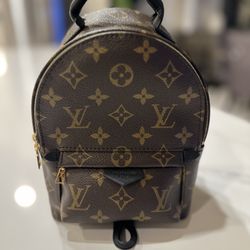 Authentic Louis Vuitton Palm Springs Mini