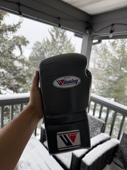 Winning Boxing Gloves