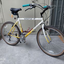 Early 90s Kastle Tour Montagne Pro Trail/City Stomper - 22"