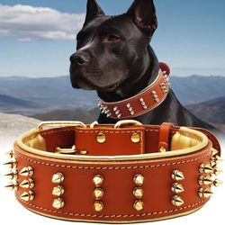 Spike Leather Dog Collar