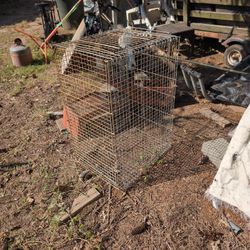 Animal Cage 