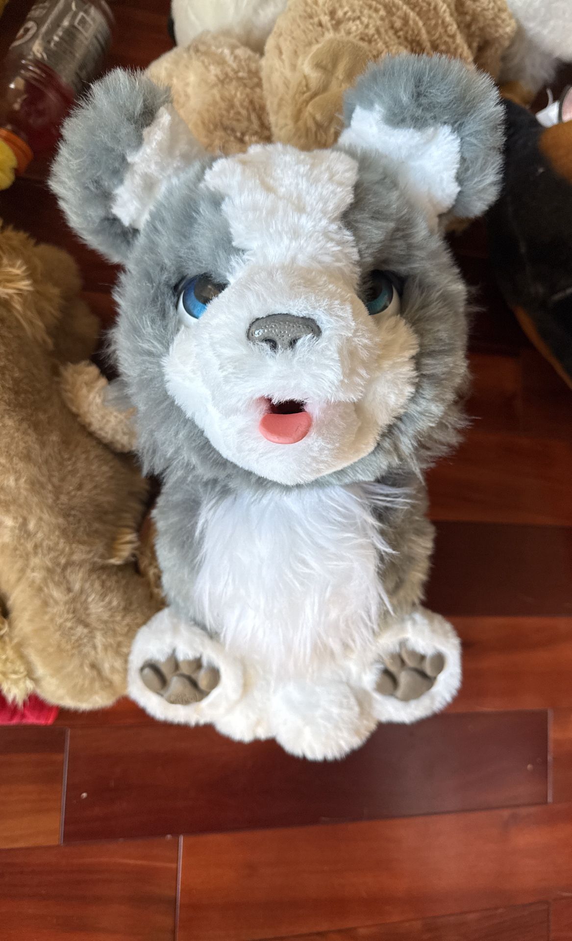 Furreal Friends Ricky The Trick-lovin' Interactive Dog 15" Plush Toy
