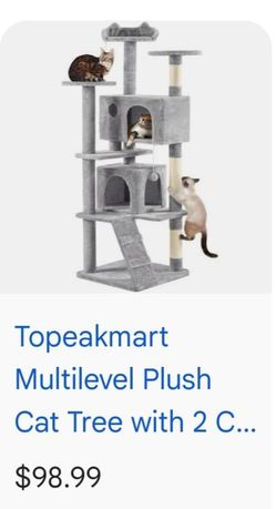 Cat Playground