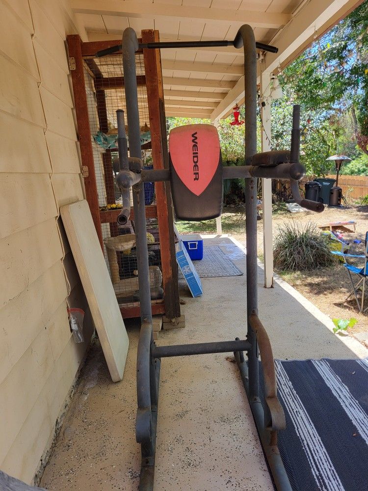 Weider Pull Up / Dip / Push Up / Ab Station