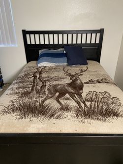 Queen Size Bed