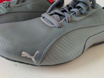 Puma Authentic Gray Sport Shoes