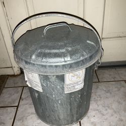 Galvanized Trash Can With Handle And Lid