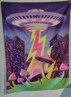 DGK Banner Zumiez $20