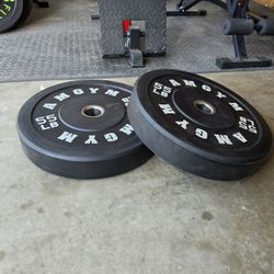 55lb Bumper Plates Pair – Like New – $220 OBO