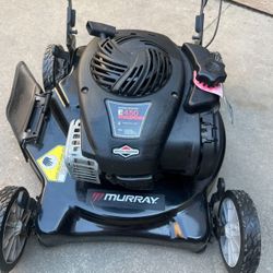 Murray 20 in. 125 cc Briggs & Stratton Walk Behind Gas Push Lawn Mower with 4 Wheel Height Adjustment and Prime 'N Pull Start