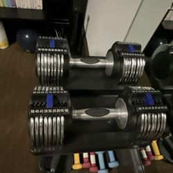 Epic Adjustable Dumbbells 10-50 Pounds Each And Stand 