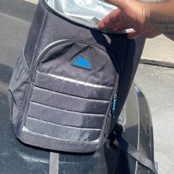 Artic Zone Lunch Backpack 