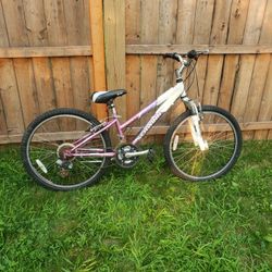 24" Mountain Bike