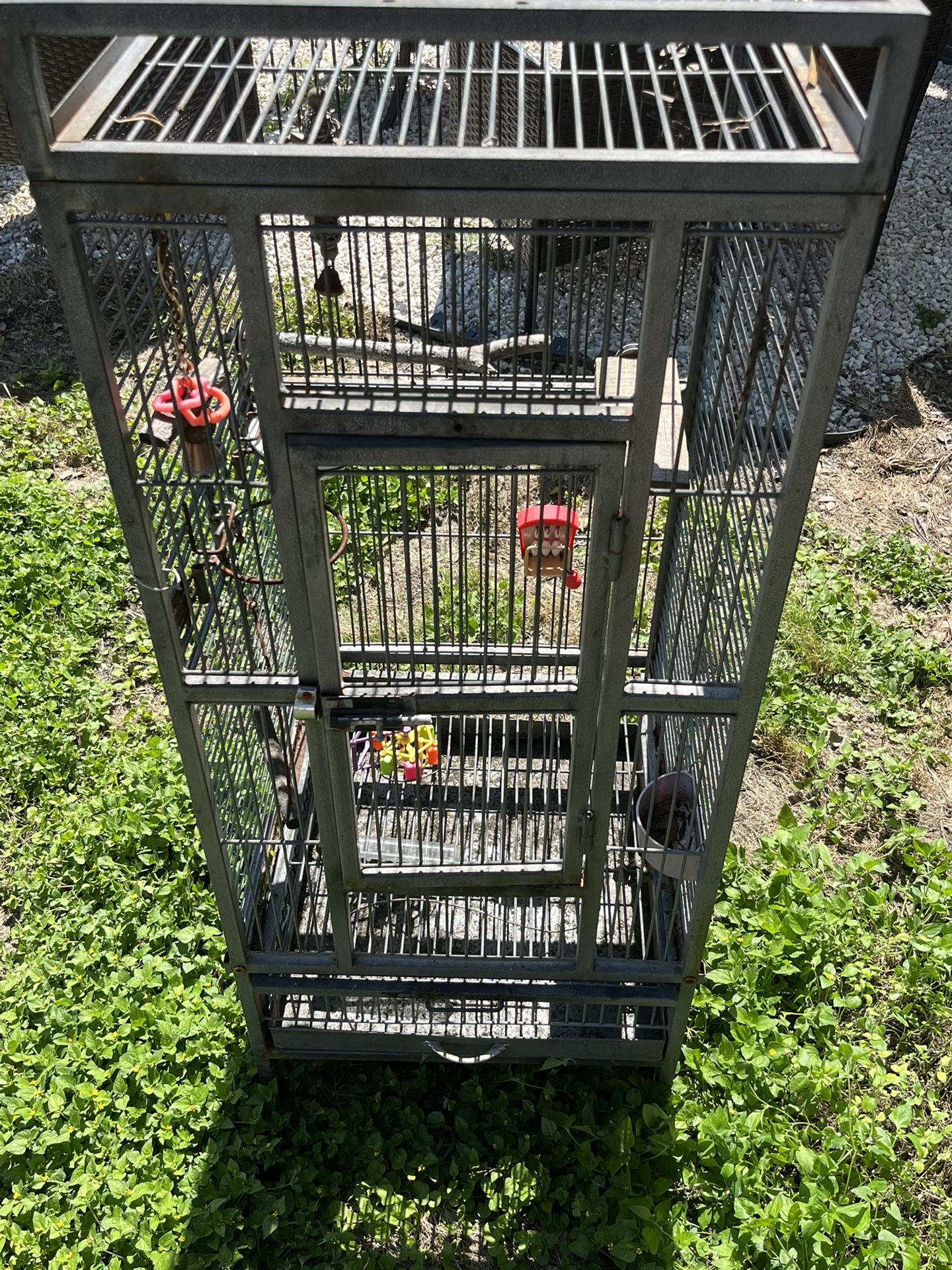 Bird Cage