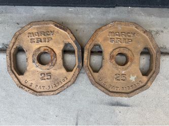 25LB Olympic Weights