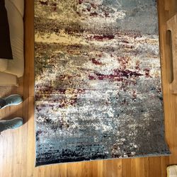 5 X 7’ Area Rug Allison park 15101