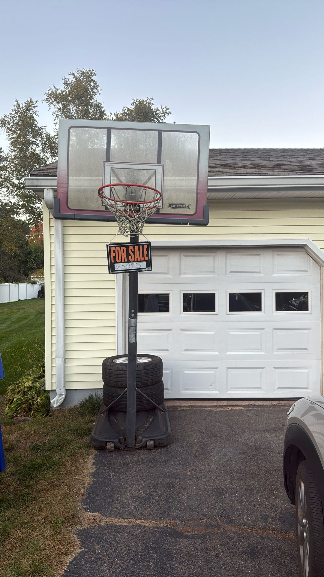 Lifetime Basketball Hoop