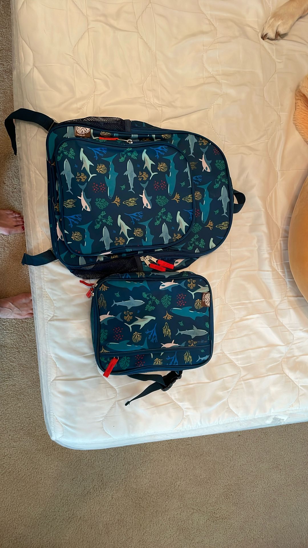 Small Background Ack And Matching Lunch Bag