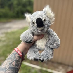 Koala Webkinz