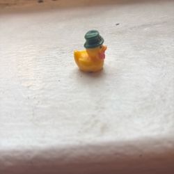 A Lucky Duck