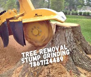 Tree Stump Remover