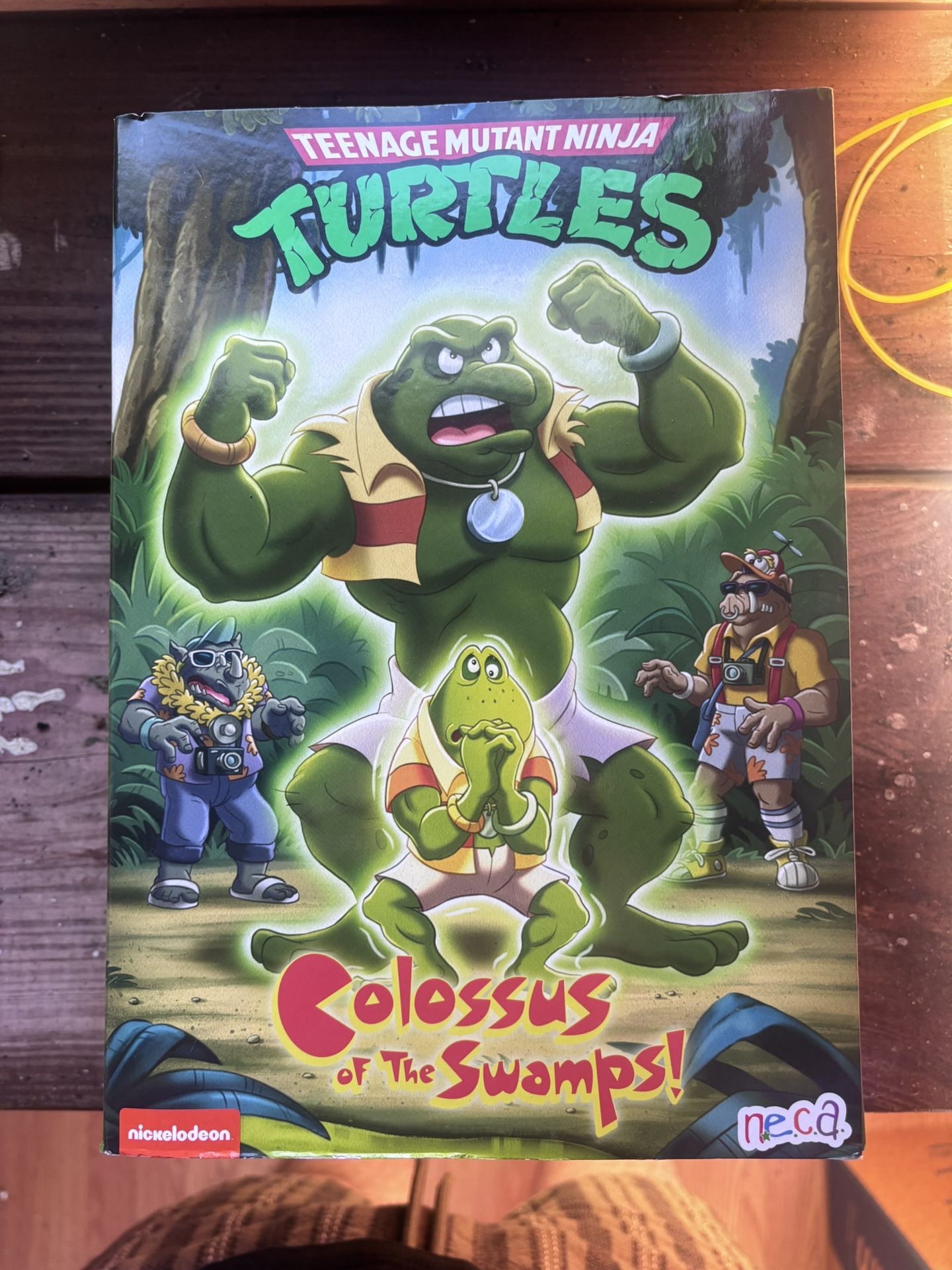 TMNT Figures And Collectibles