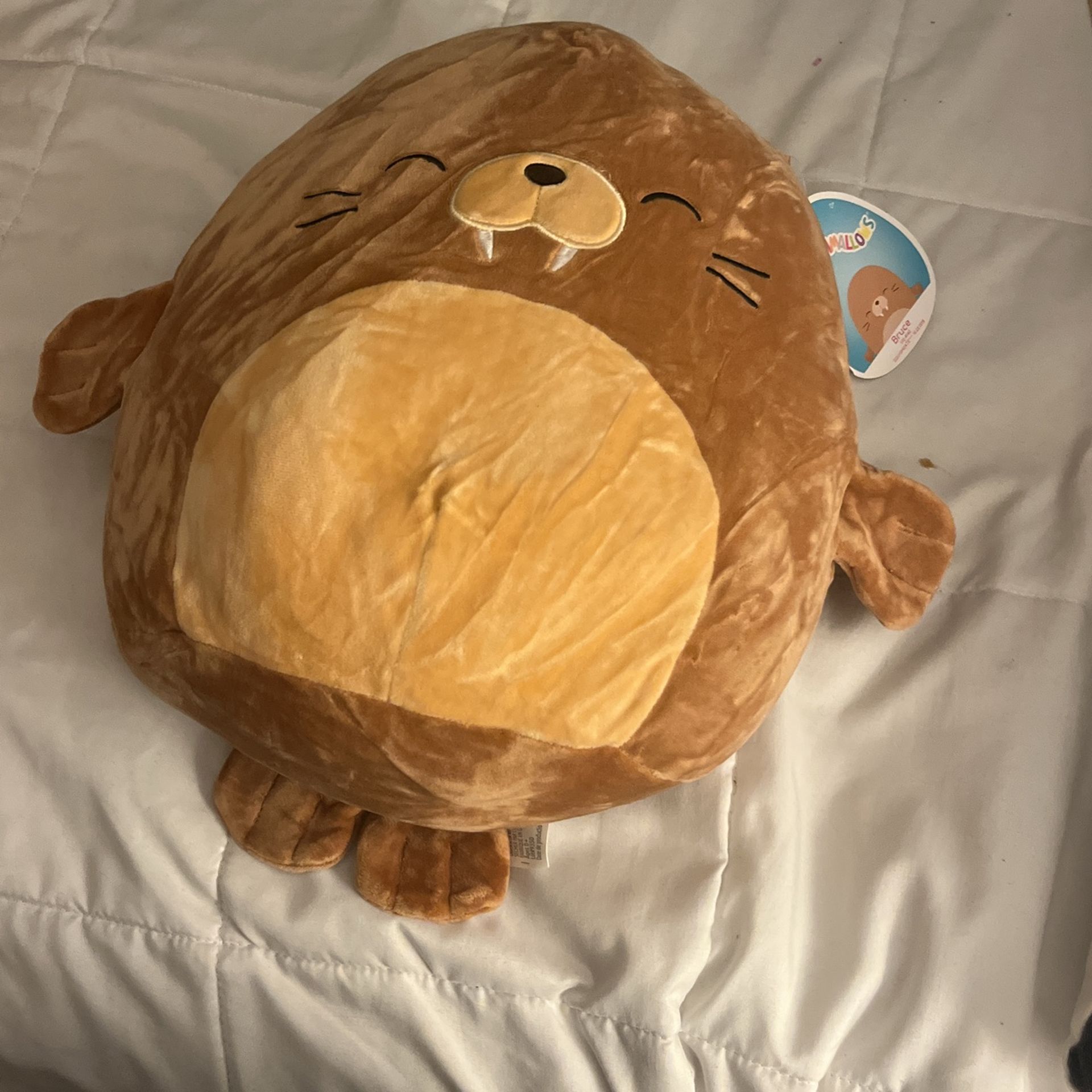 Squishmallow 