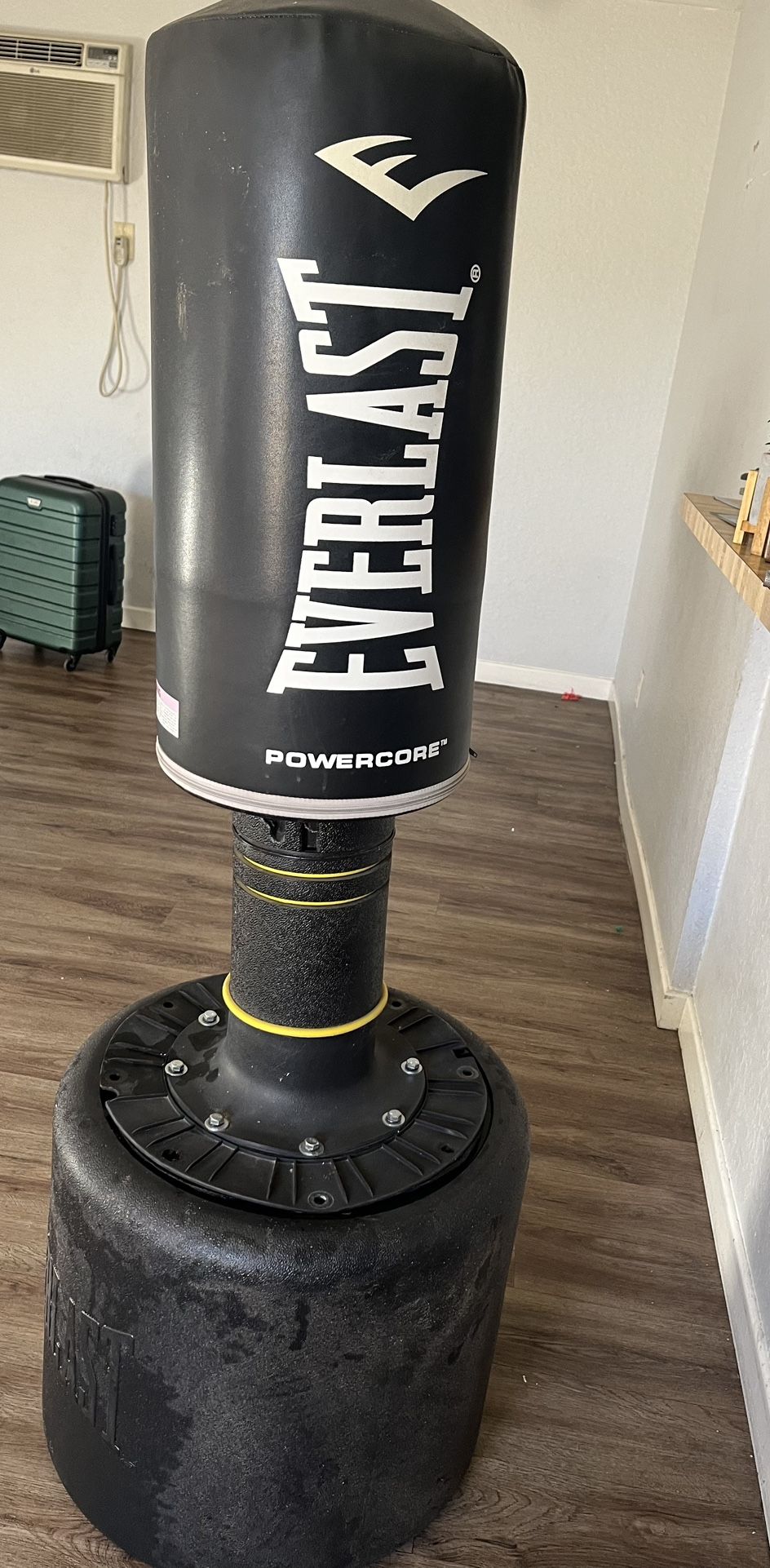 Everlast Punching Bag 