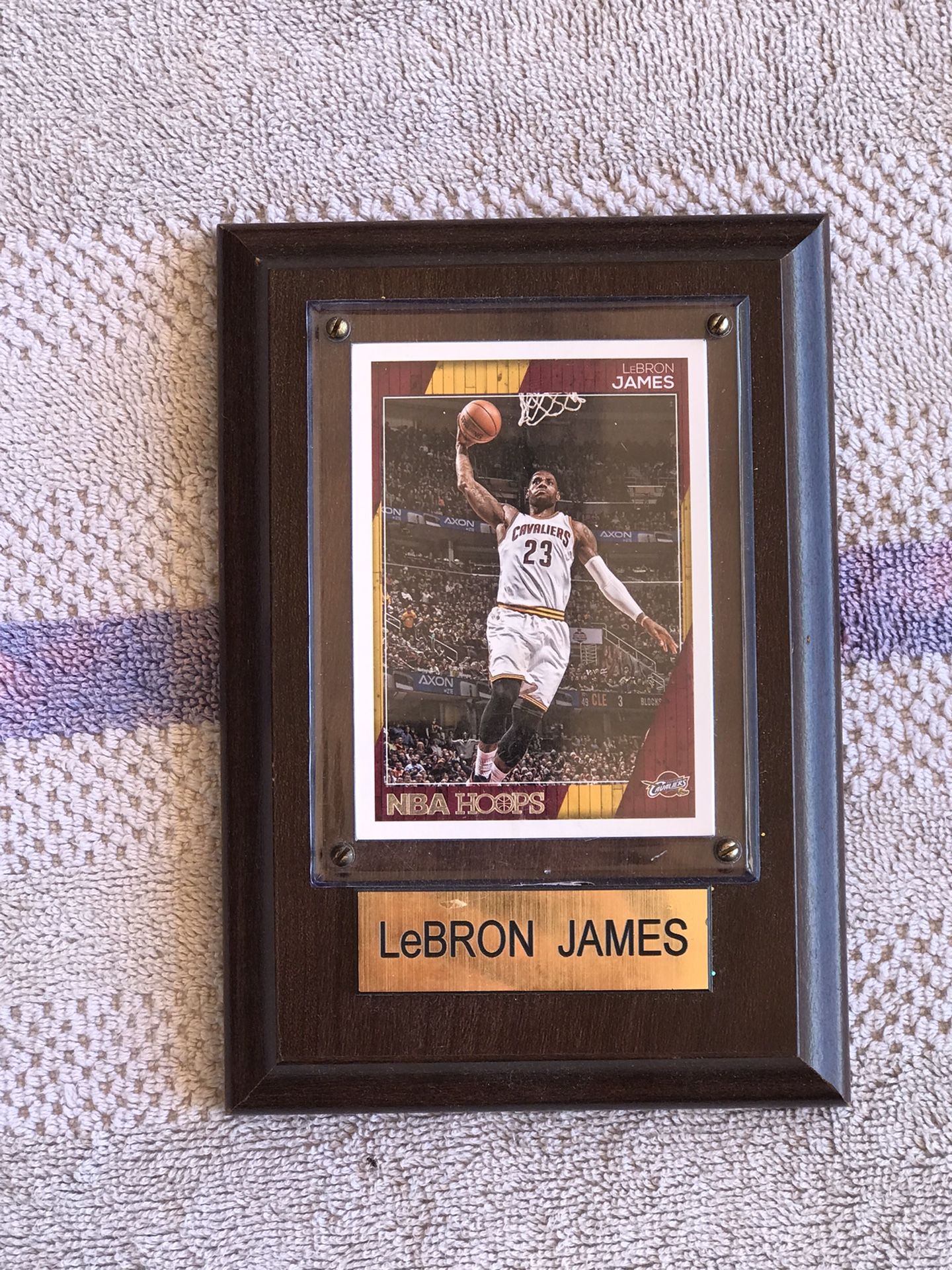 Framed Lebron James NBA Hoops Card