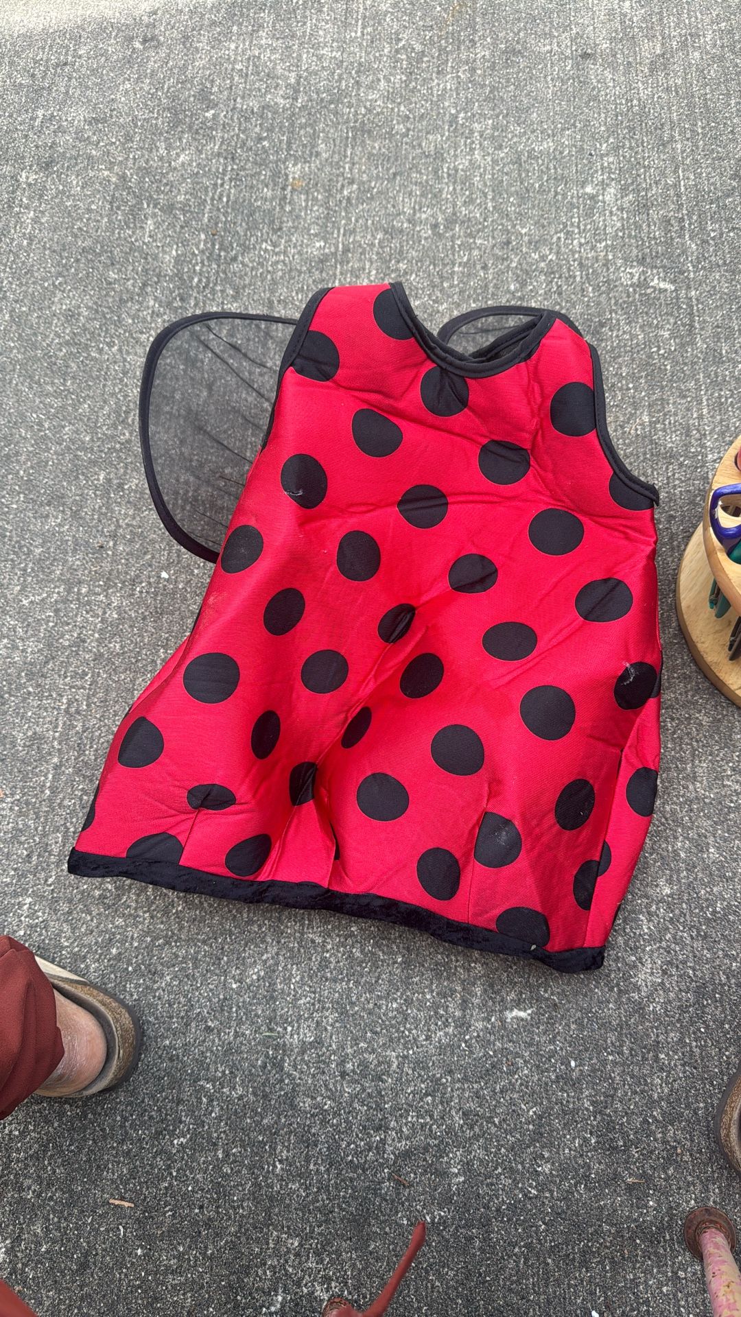 Lady Bug 🐞 Custom 2 Years Old
