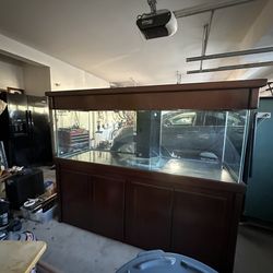 180 Gallon Fish Tank 