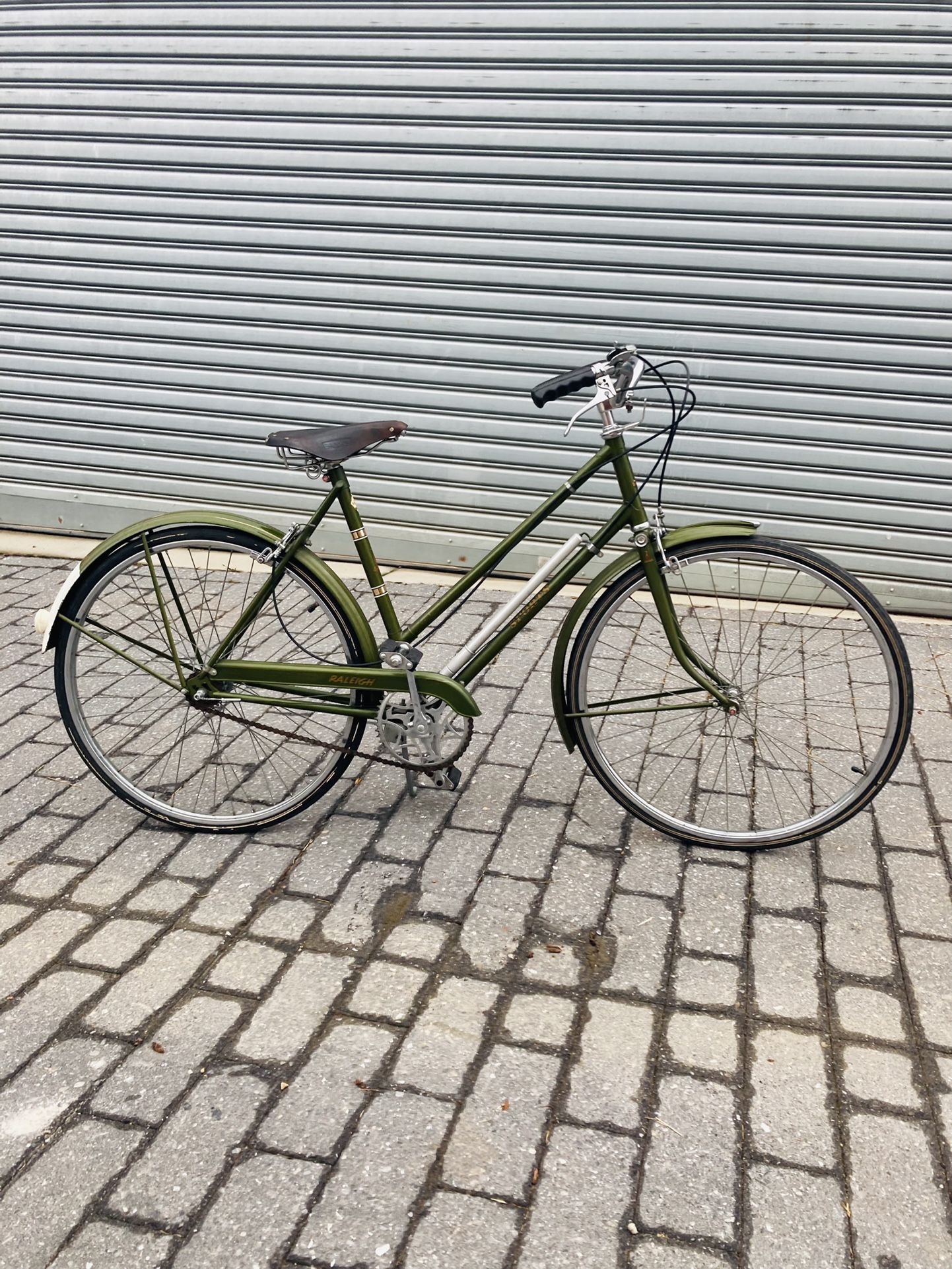 Raleigh 54cm Bike